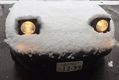 50cff35f690f4ab48bbd3a7549056501.gif